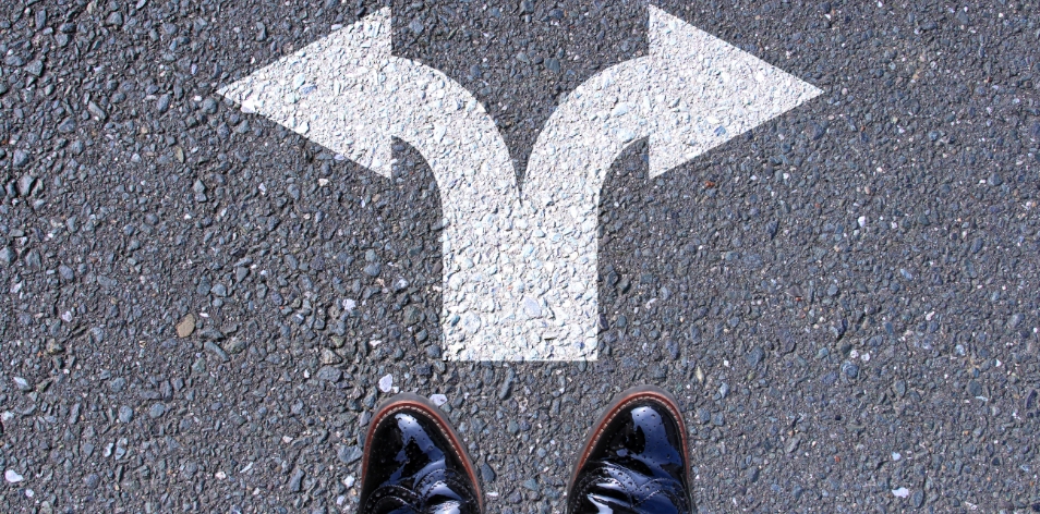 進むべき道の写真