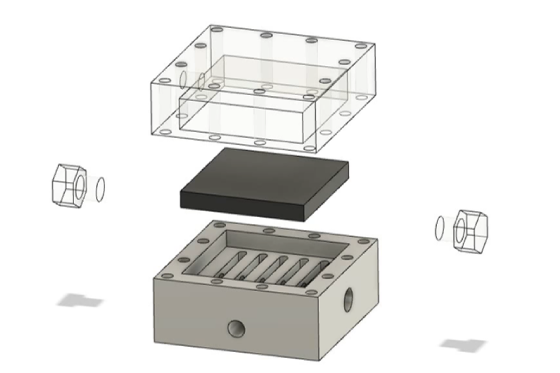辻森　研究概要②