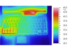 辻森　研究概要①
