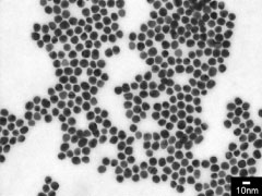 柳生研究の概要①