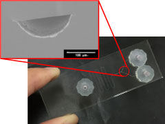 柳生研究の概要②